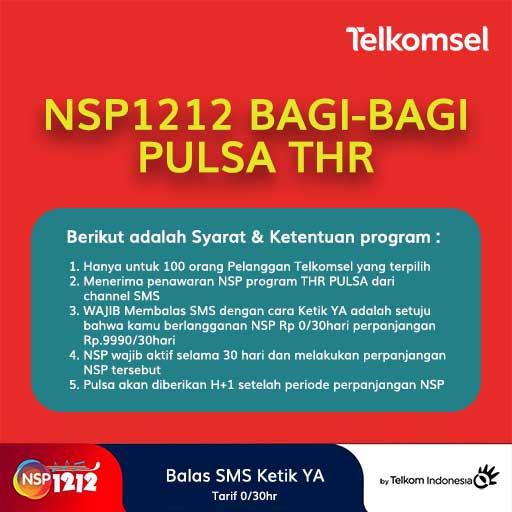Program THR PULSA